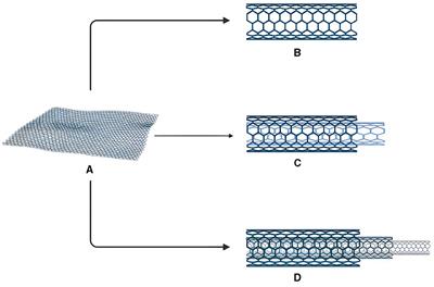 Carbon nanotubes: a novel innovation as food supplements and biosensing for food safety